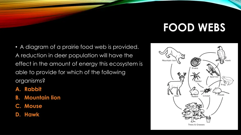 food webs