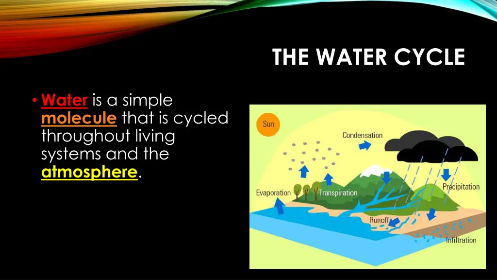 the water cycle