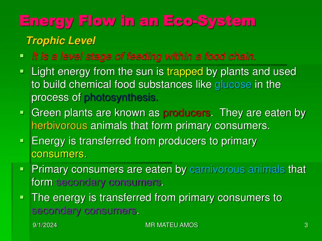 energy flow in an eco energy flow