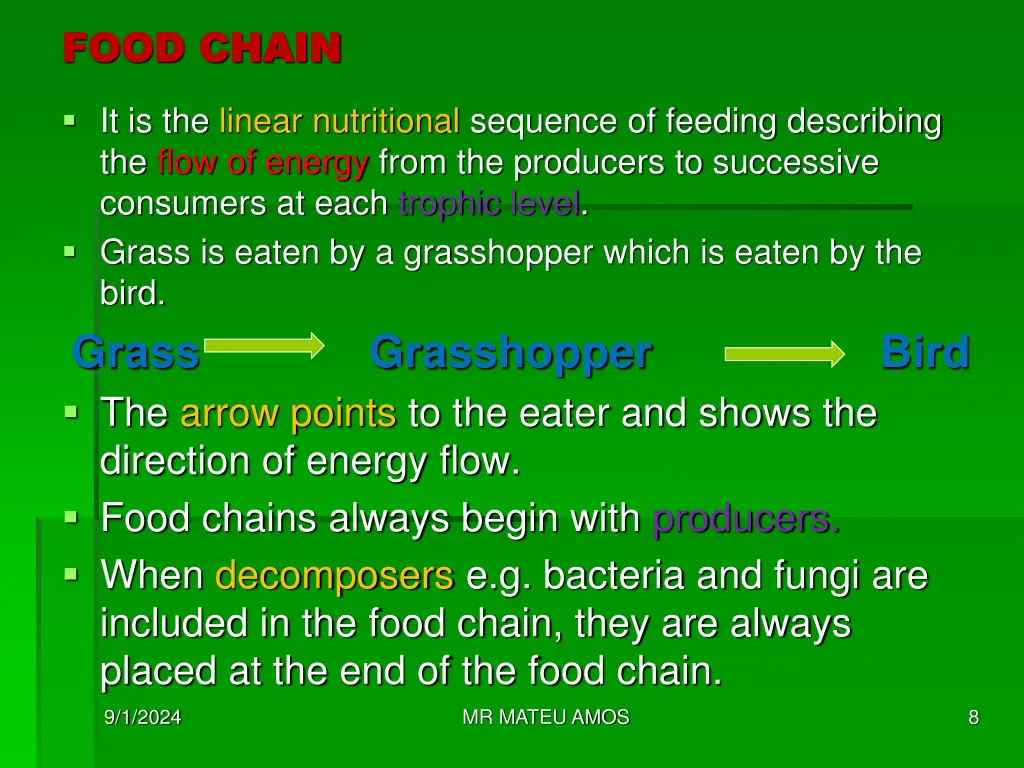 food chain food chain