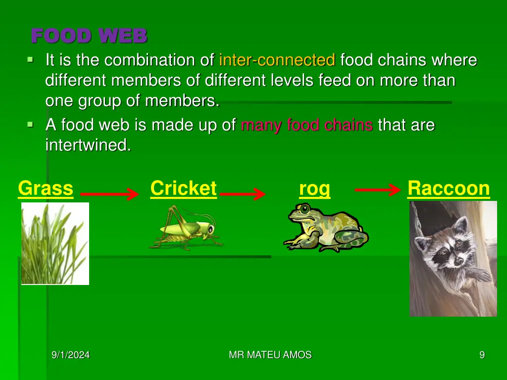 food web food web it is the combination of inter