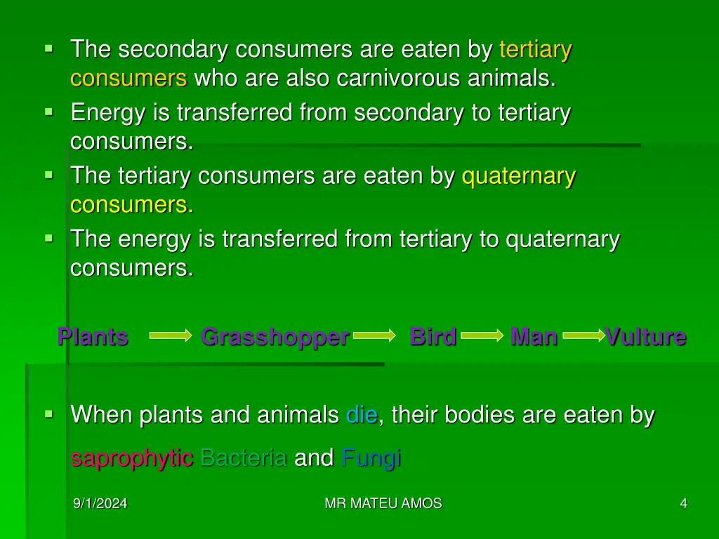 the secondary consumers are eaten by tertiary