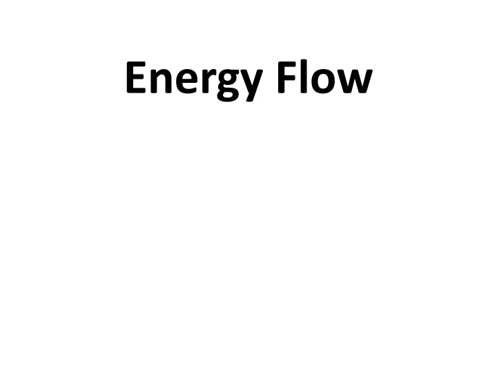 energy flow