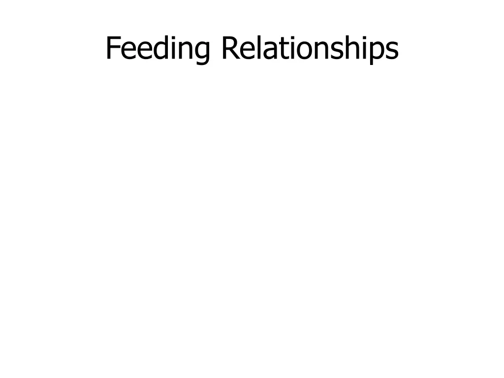 feeding relationships