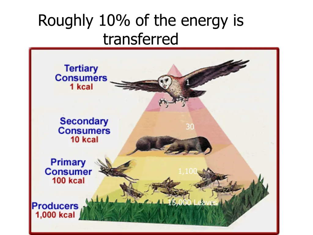 roughly 10 of the energy is transferred