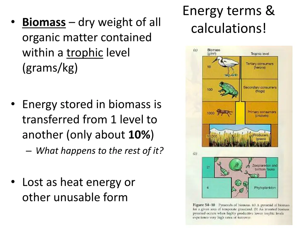 energy terms calculations