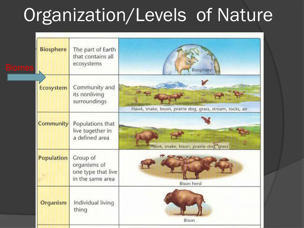 organization levels of nature