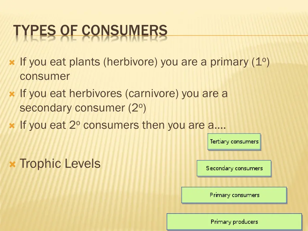 types of consumers