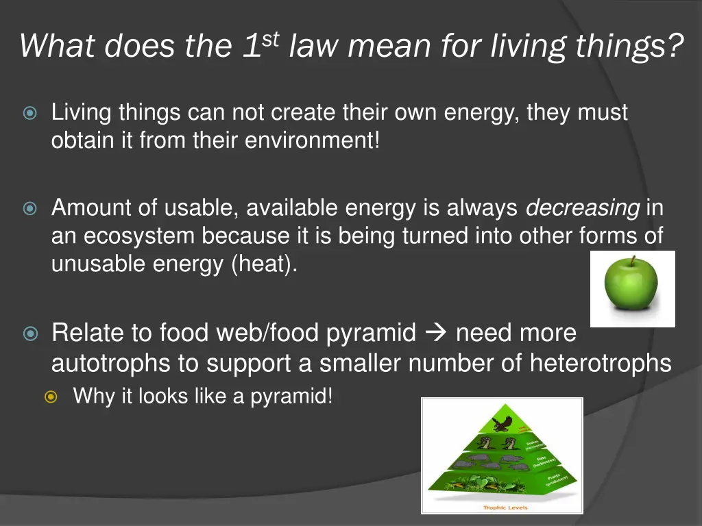 what does the 1 st law mean for living things