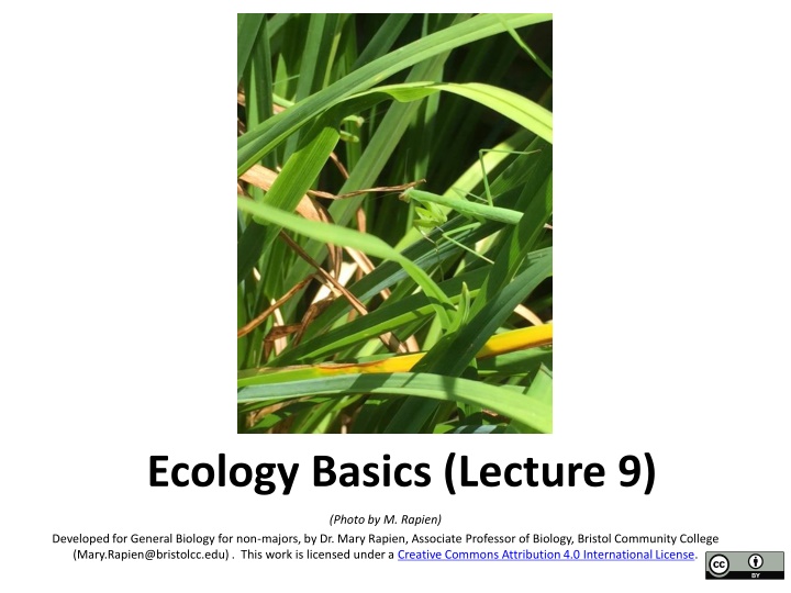 ecology basics lecture 9