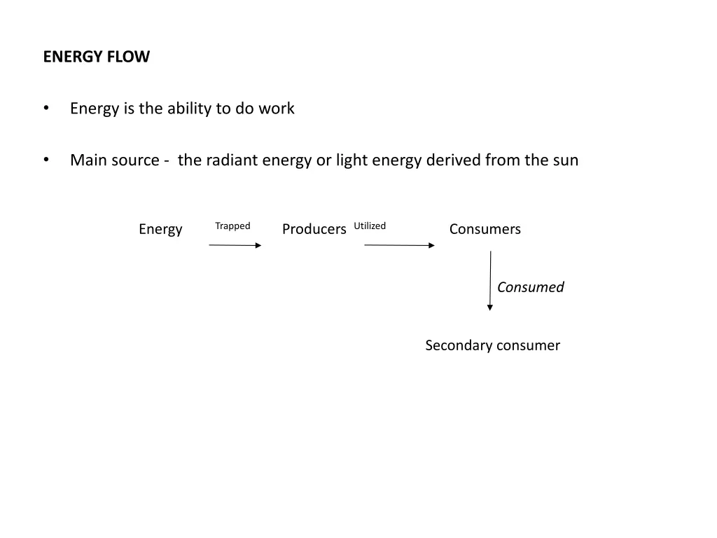 energy flow