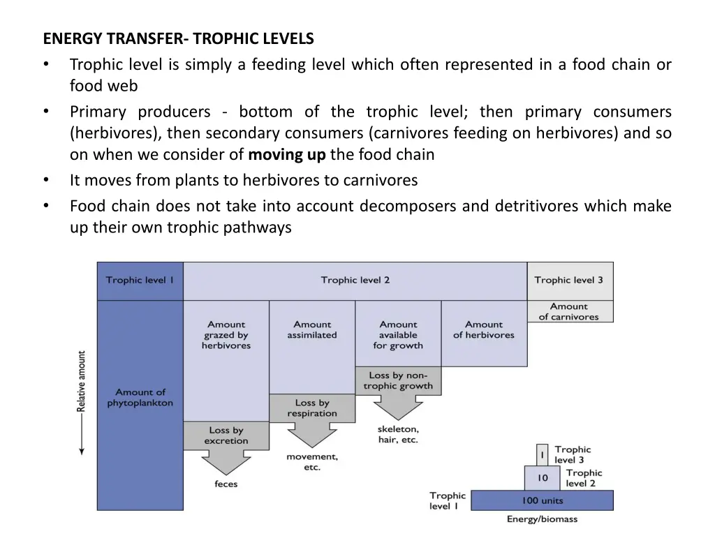 energy transfer trophic levels trophic level