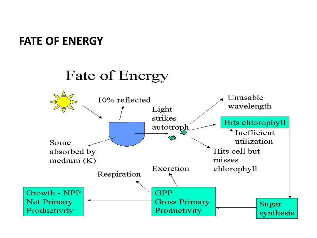 fate of energy