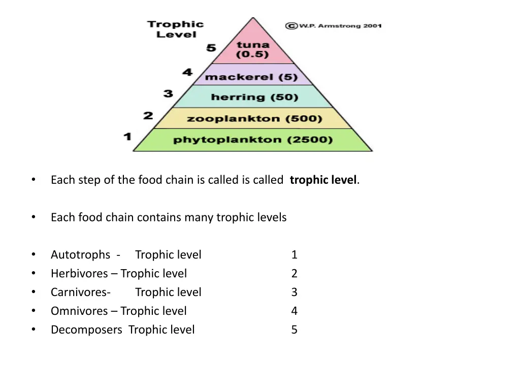 slide17