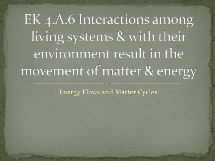 ek 4 a 6 interactions among living systems with