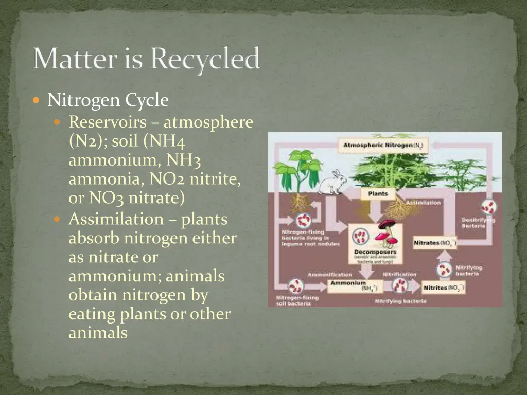 matter is recycled 1