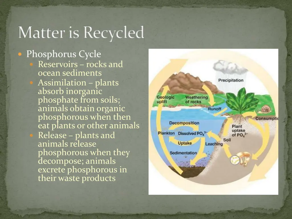 matter is recycled 4