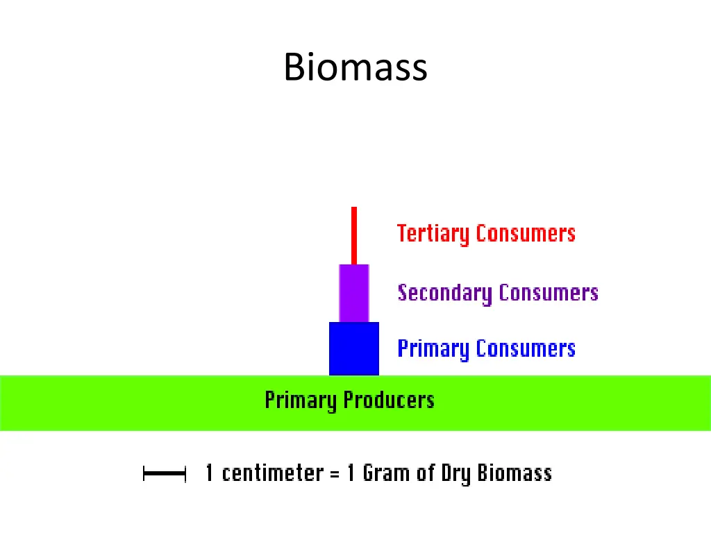 biomass 1