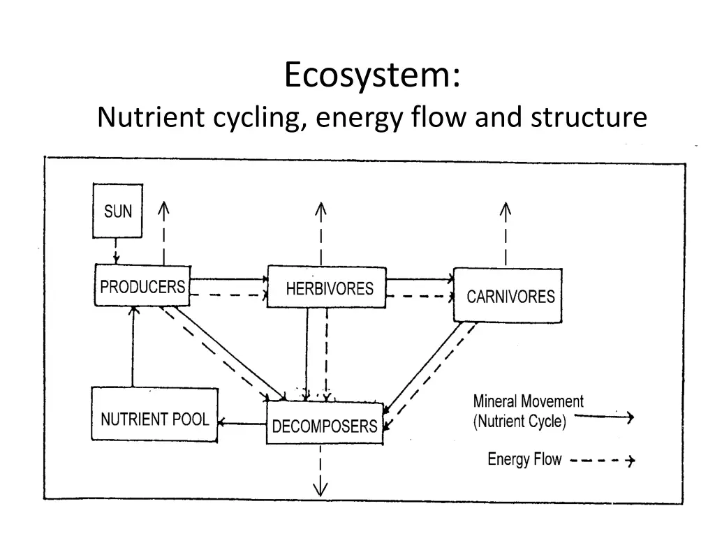 ecosystem