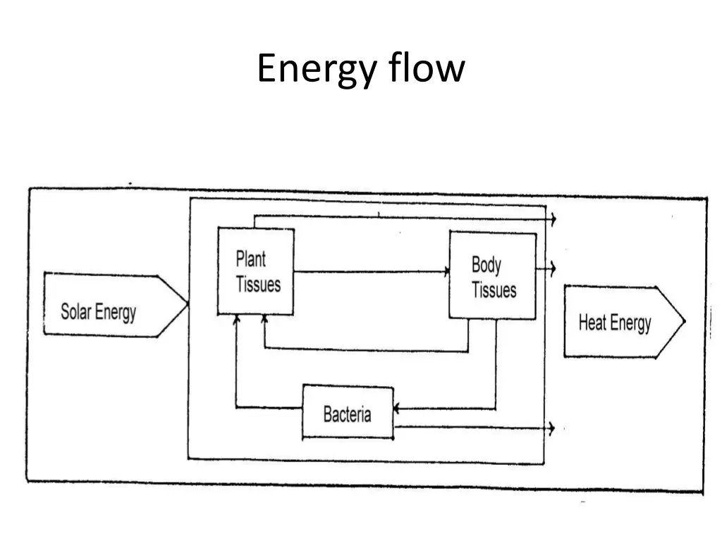 energy flow