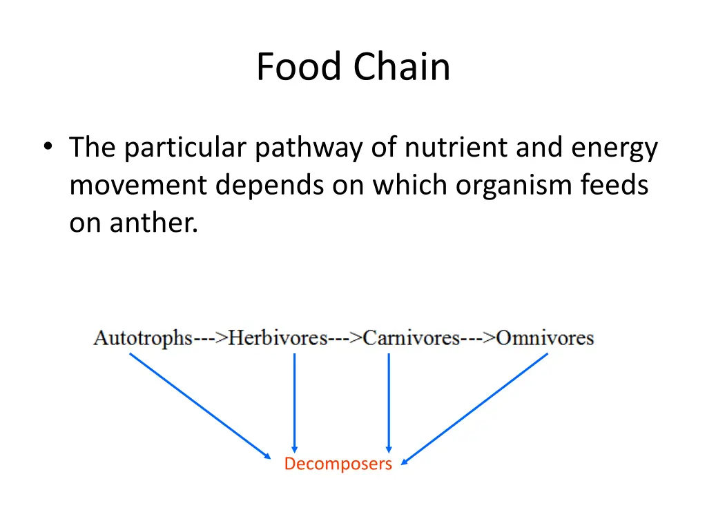 food chain