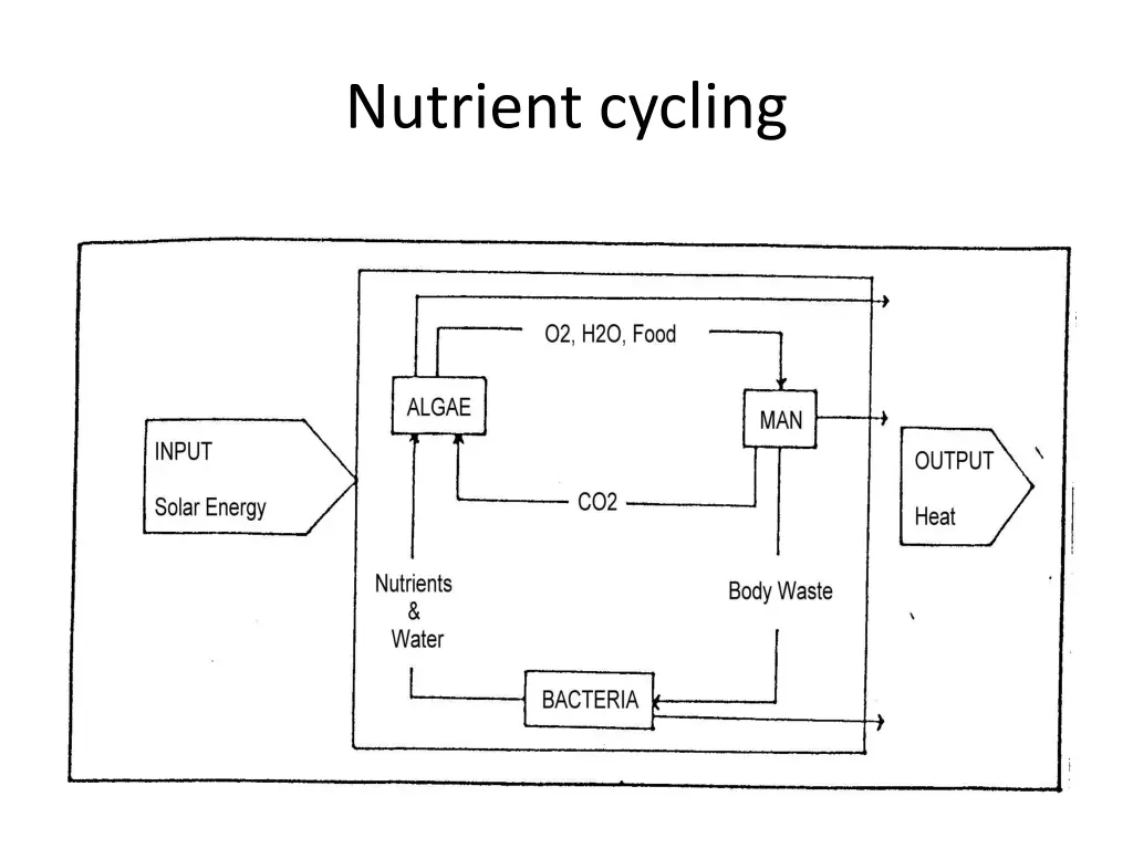 nutrient cycling