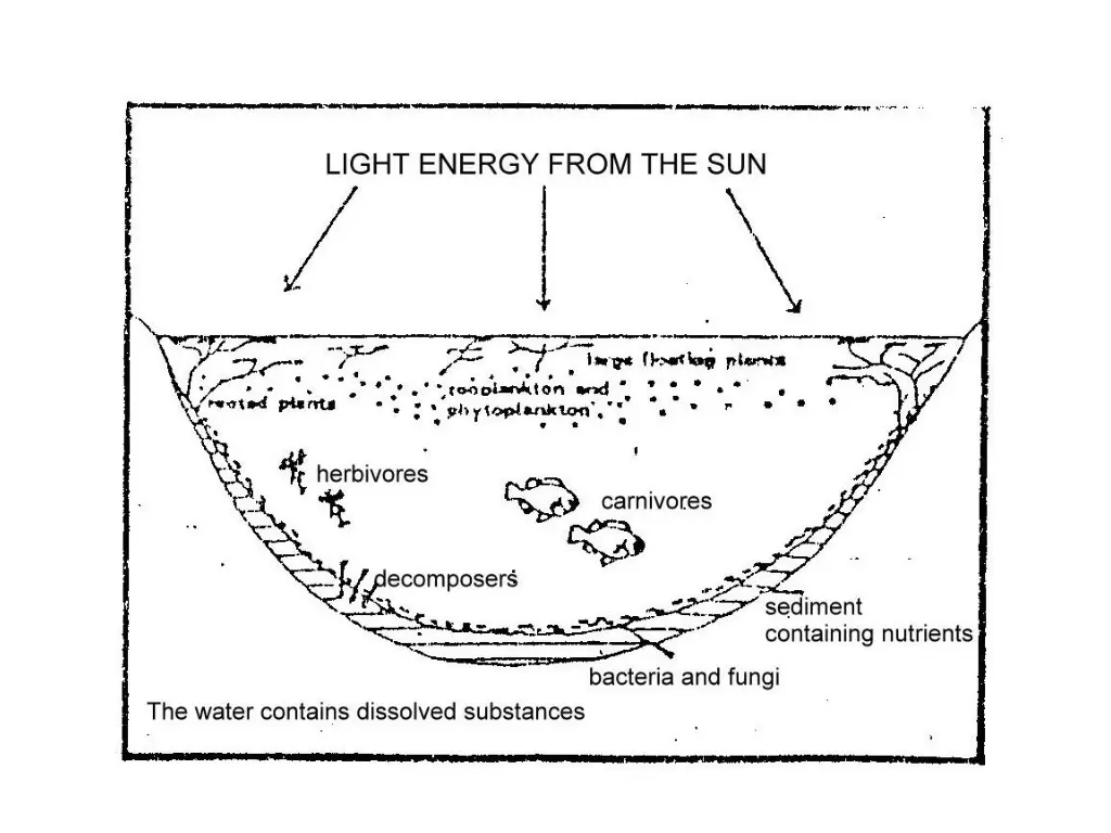 slide10