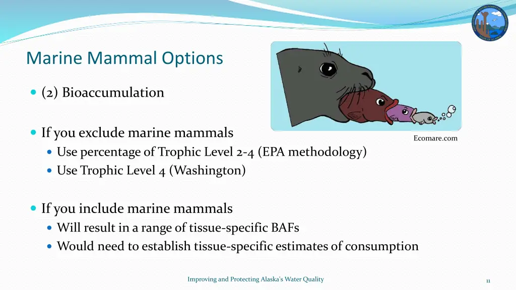 marine mammal options