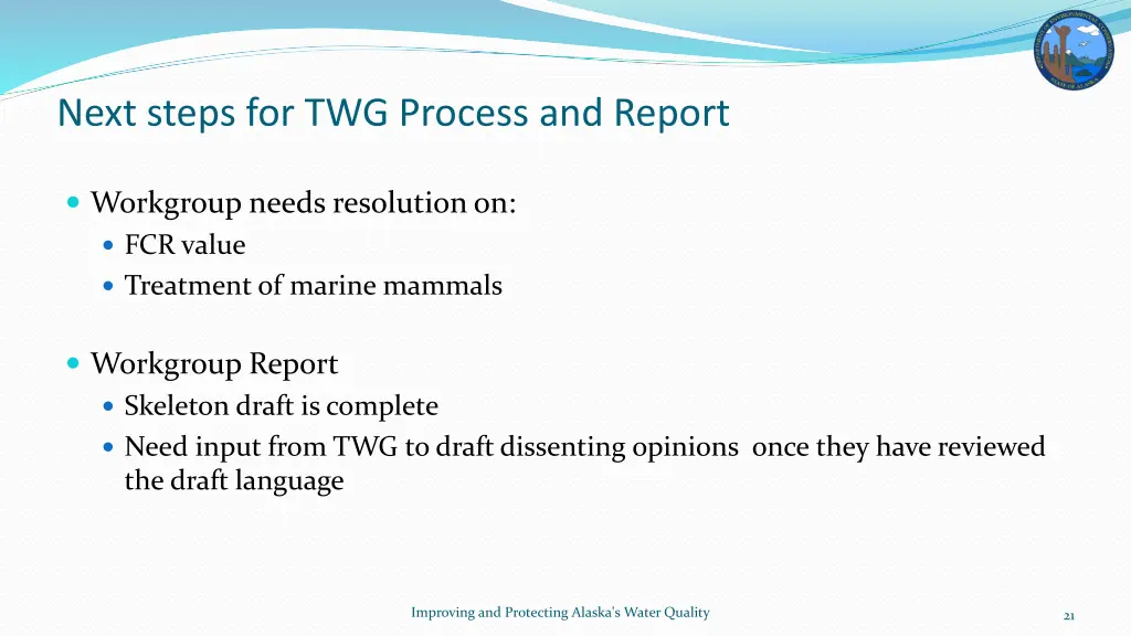 next steps for twg process and report