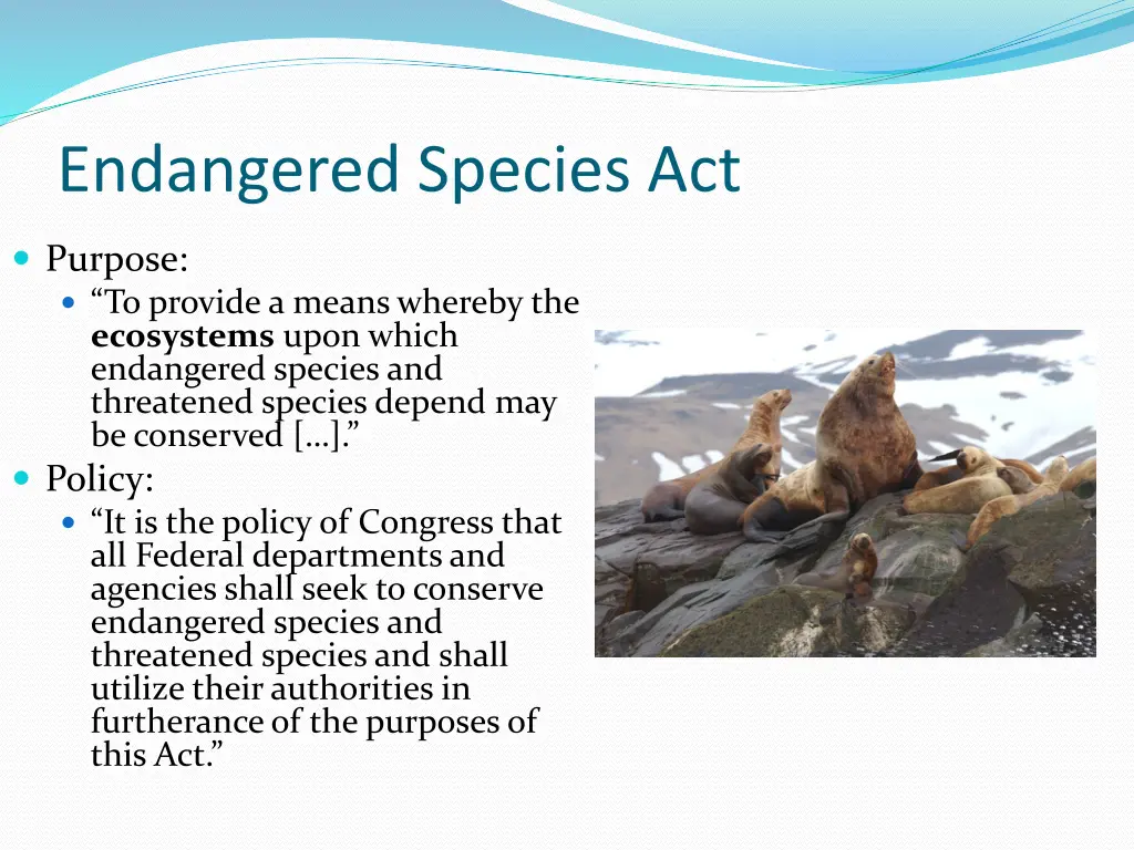 endangered species act