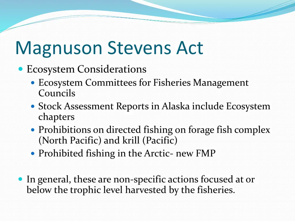 magnuson stevens act ecosystem considerations