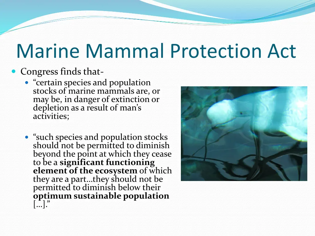 marine mammal protection act congress finds that