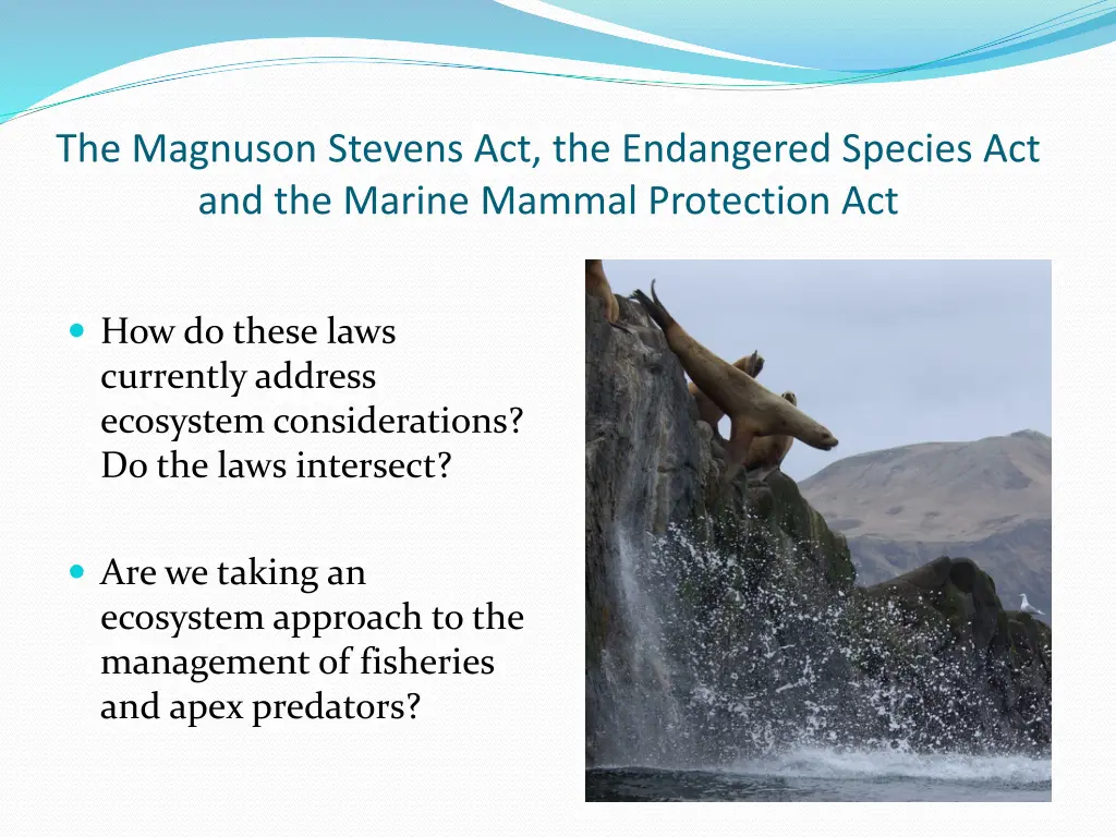 the magnuson stevens act the endangered species