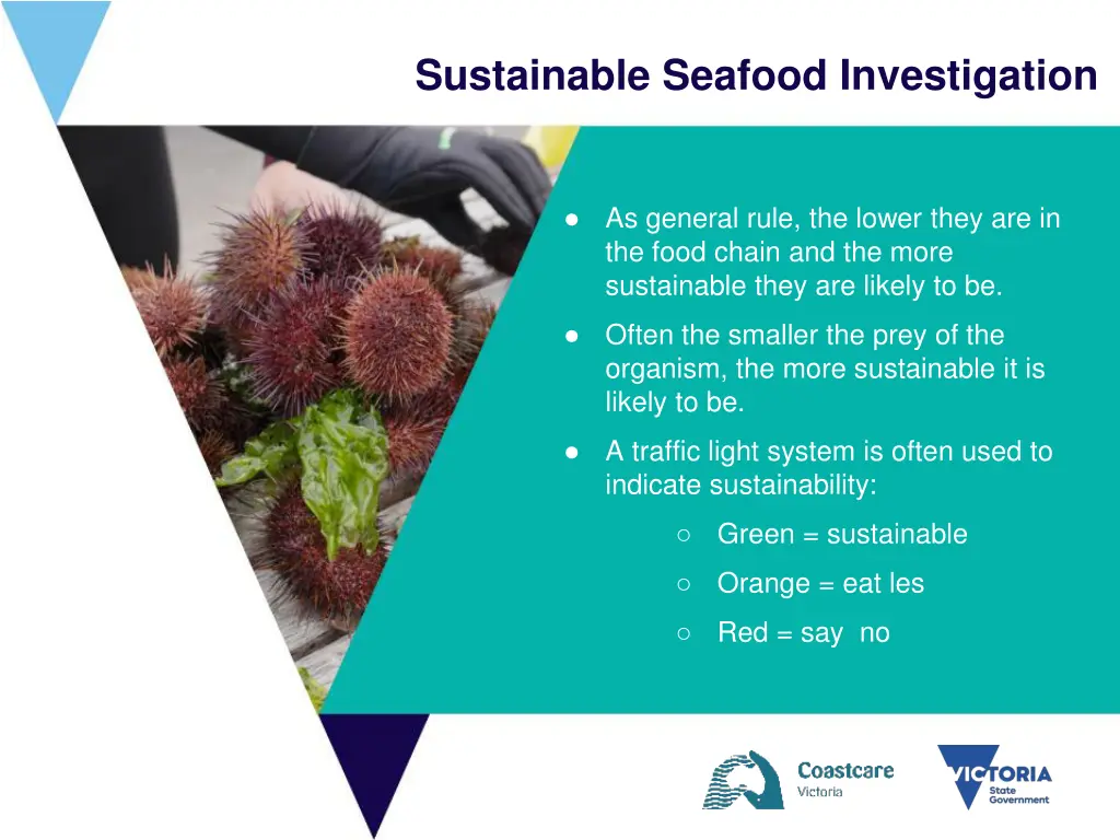 sustainable seafood investigation