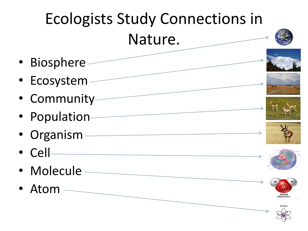 ecologists study connections in nature biosphere