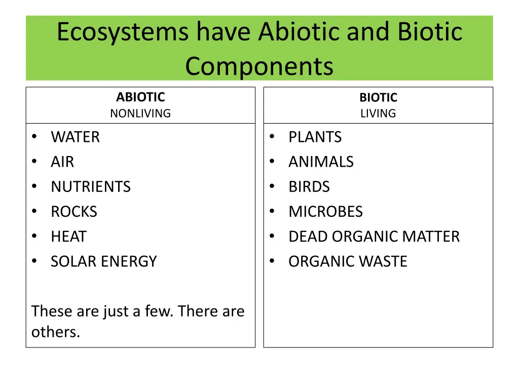 ecosystems have abiotic and biotic components