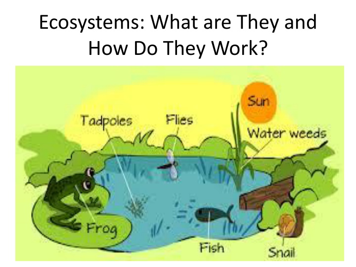 ecosystems what are they and how do they work