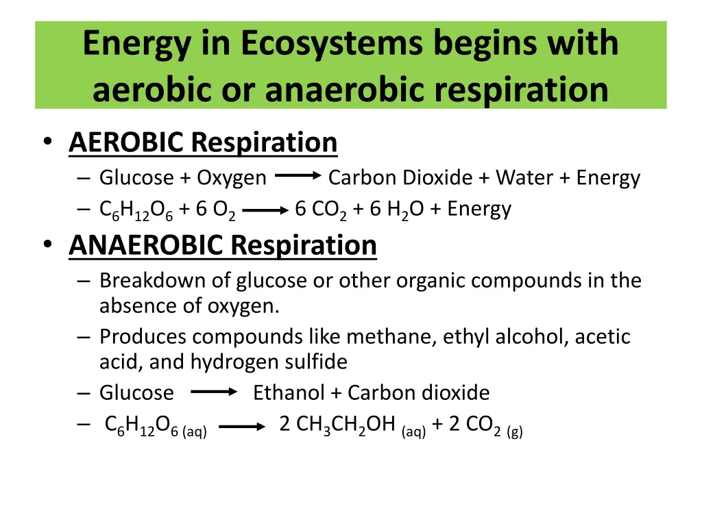 energy in ecosystems begins with aerobic