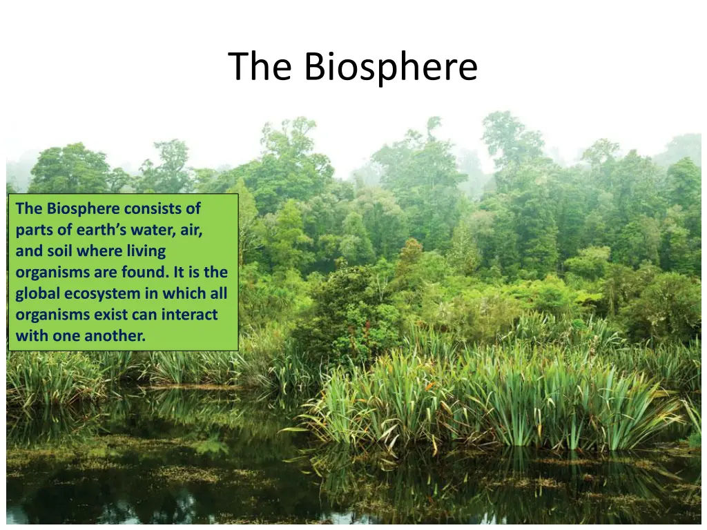 the biosphere