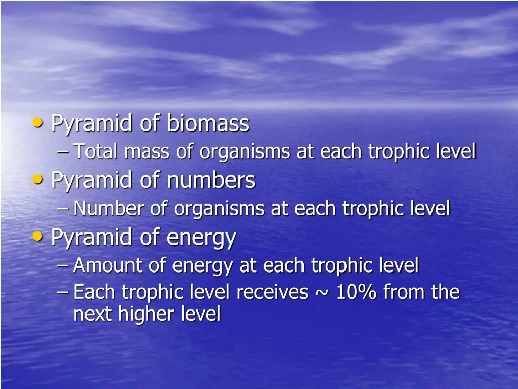 pyramid of biomass total mass of organisms