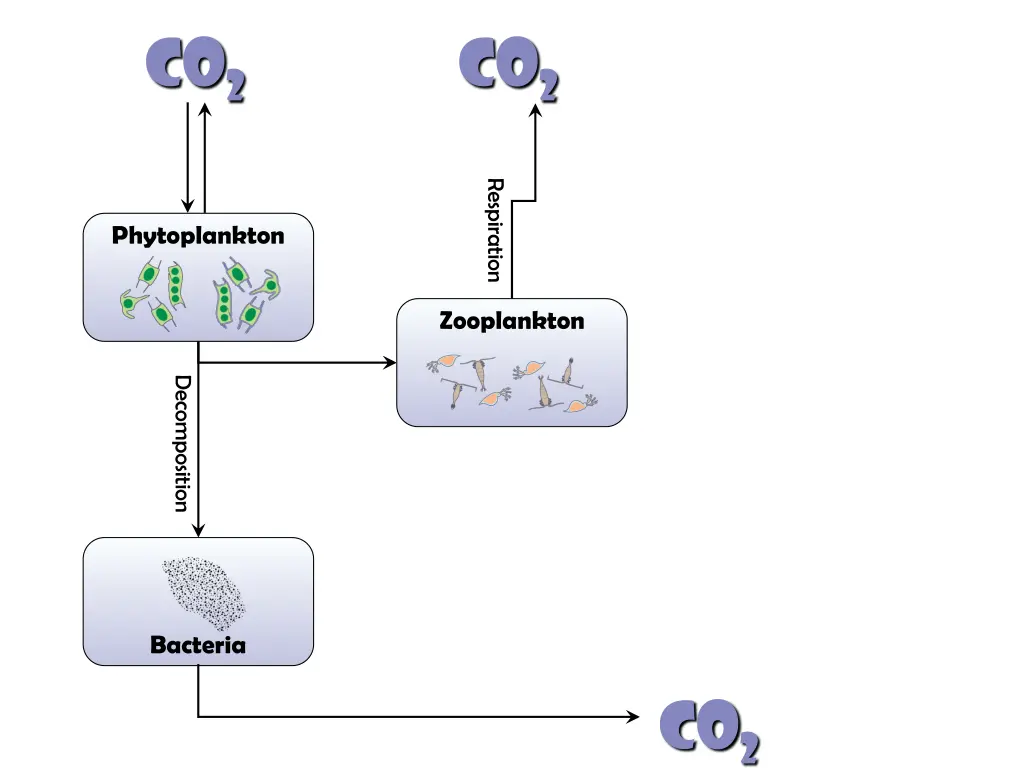 slide13