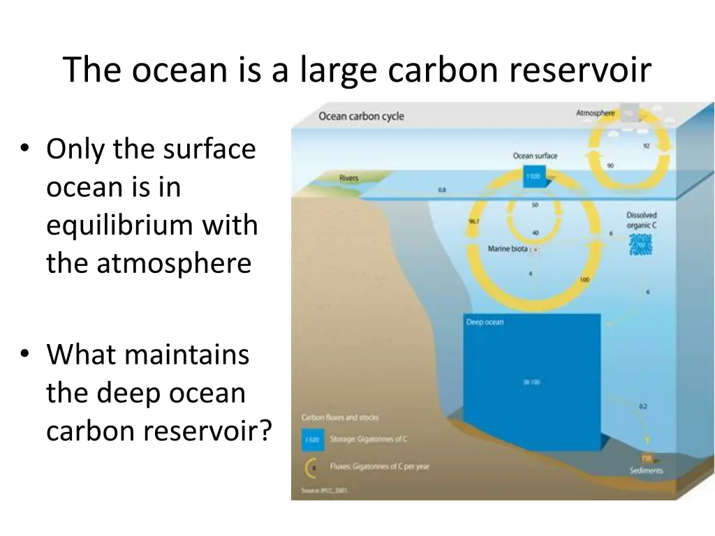 the ocean is a large carbon reservoir