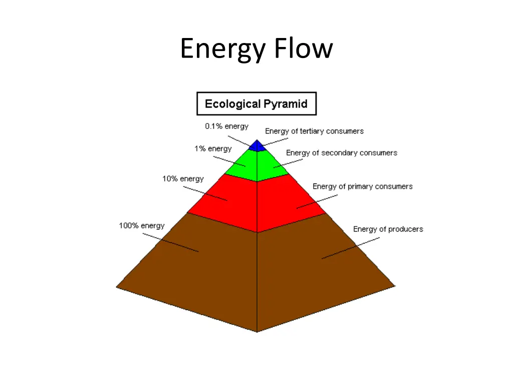 energy flow