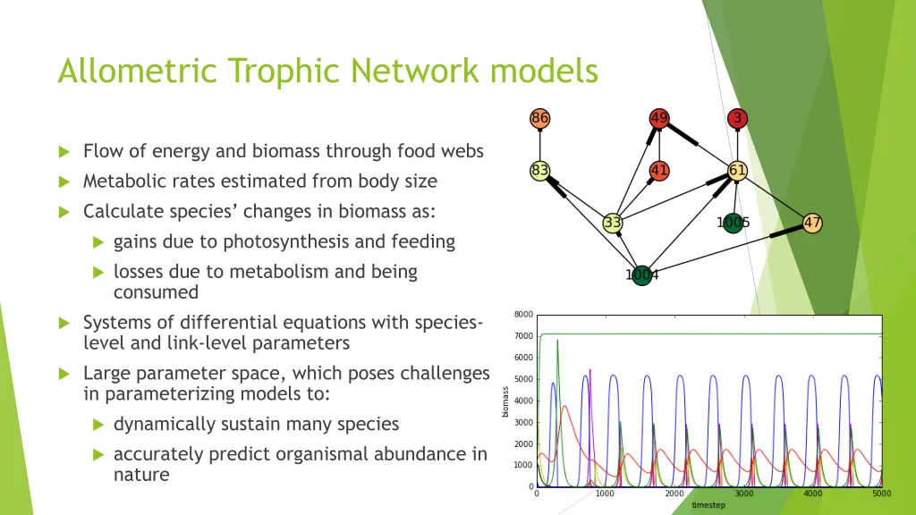 allometric trophic network models