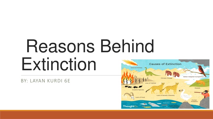 reasons behind extinction