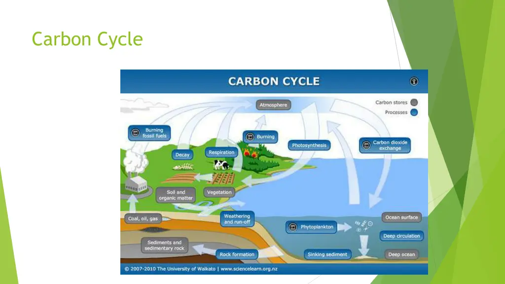 carbon cycle