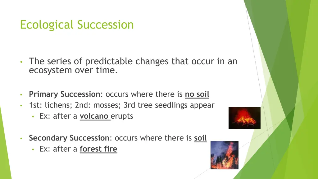 ecological succession