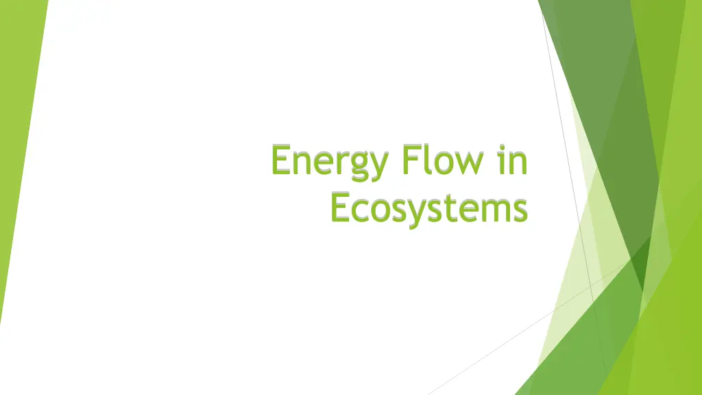 energy flow in ecosystems