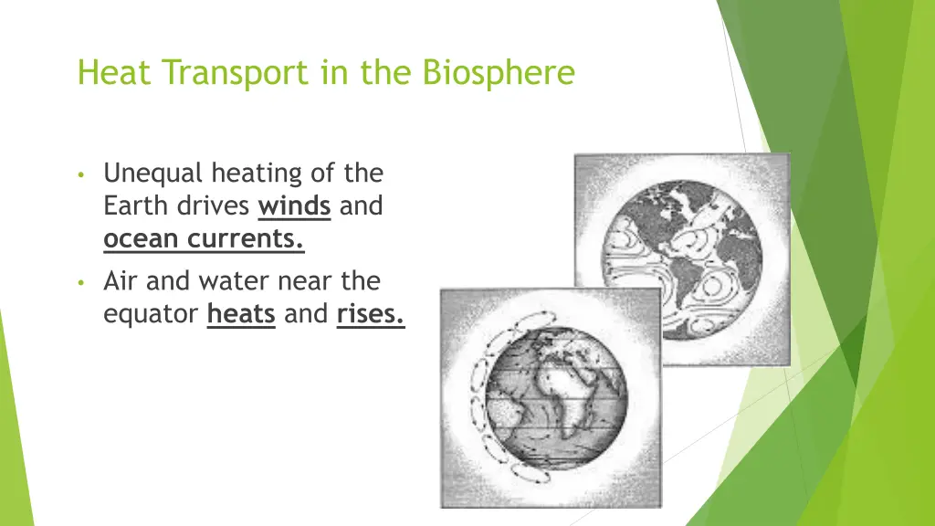 heat transport in the biosphere