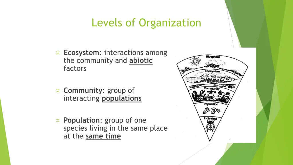 levels of organization